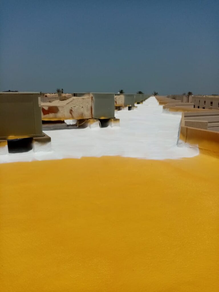 whatsapp image 2025 10 14 at 18.43.11 d9ead8fd